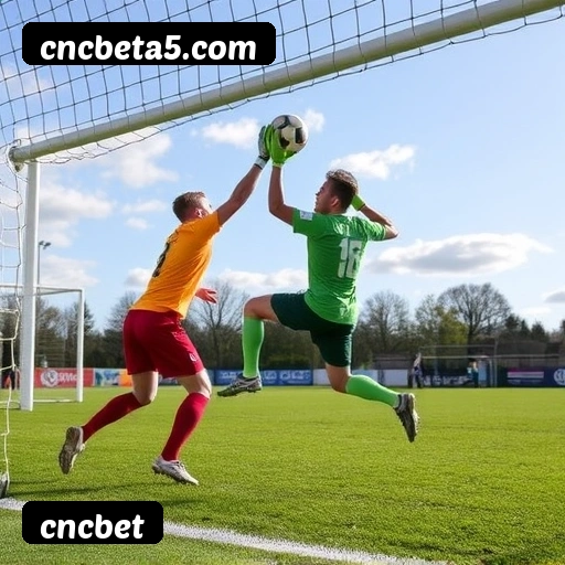 Vantagens exclusivas cncbet para jogadores brasileiros - São Paulo, Rio, BH