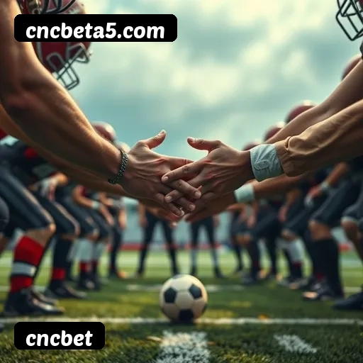 6 vantagens exclusivas do programa VIP da cncbet