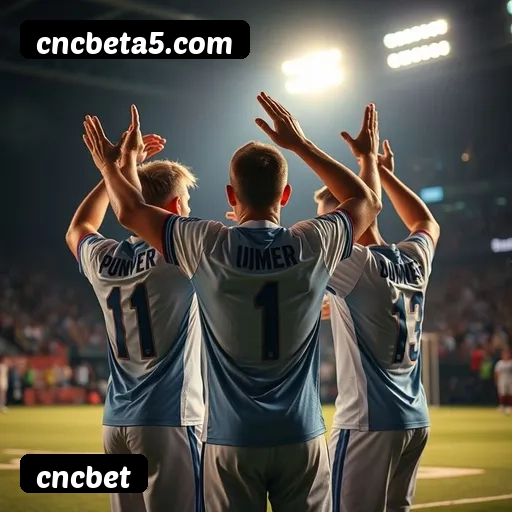 Níveis do programa VIP da cncbet